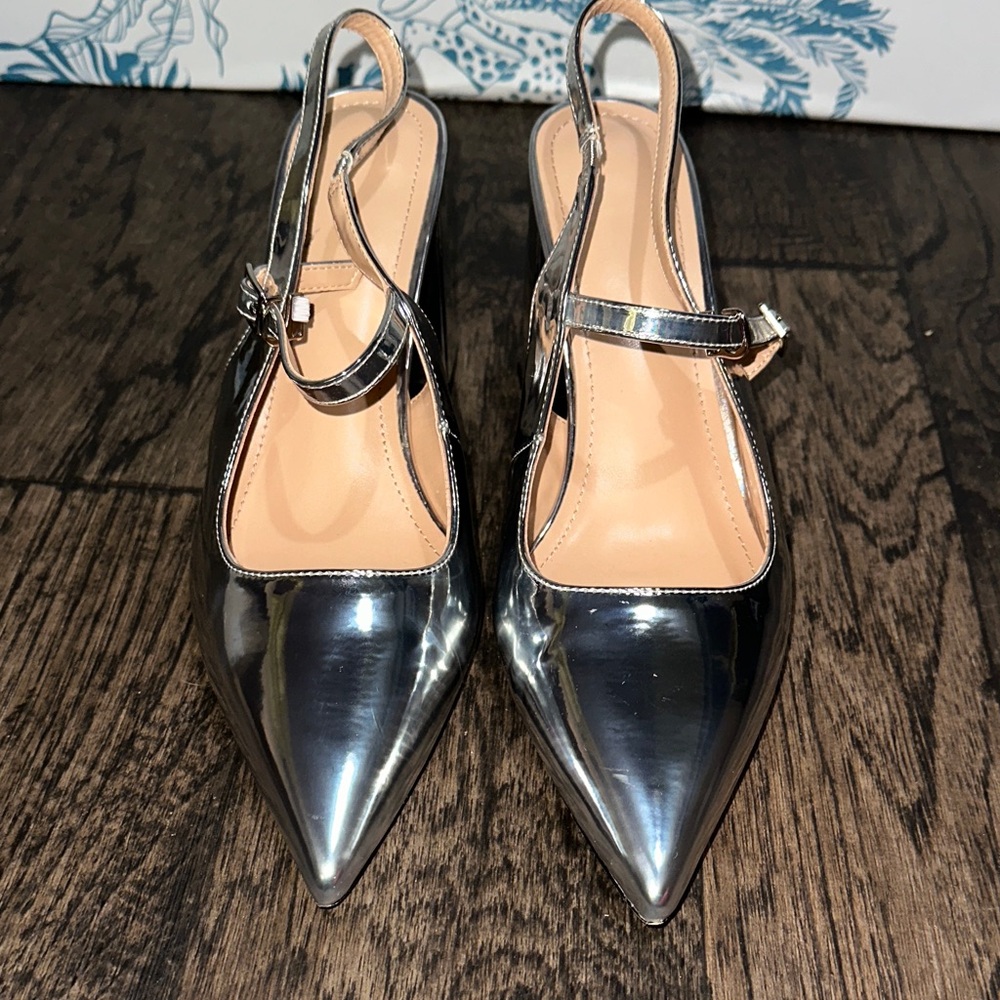 Silver Slingback Pointed Toe Women's Shoes
